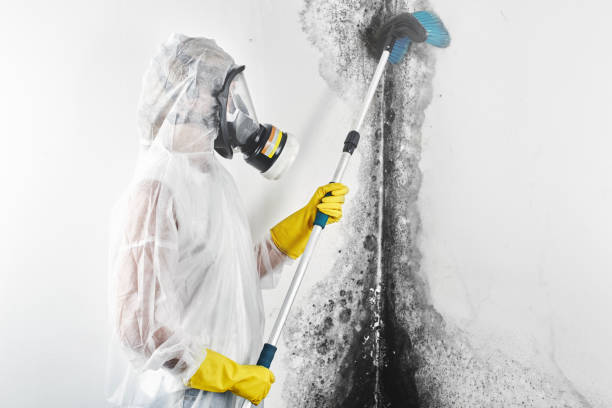 Best Post-Remediation Verification Testing  in Roseburg, OR