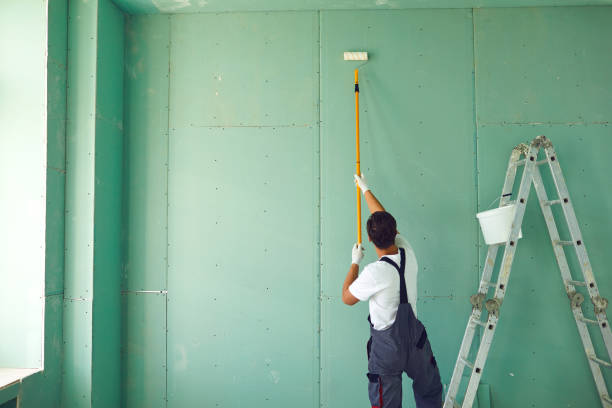 Best Attic Mold Removal  in Roseburg, OR