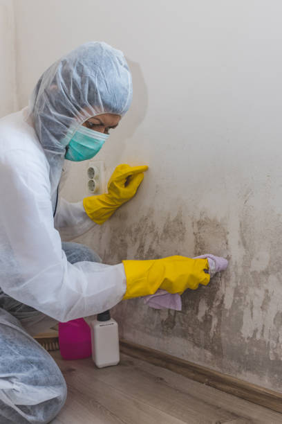 Best Forensic Mold Investigation  in Roseburg, OR
