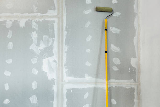 Best Mold Remediation for Vacation Homes  in Roseburg, OR