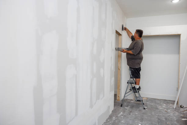 Best Post-Construction Mold Inspection  in Roseburg, OR