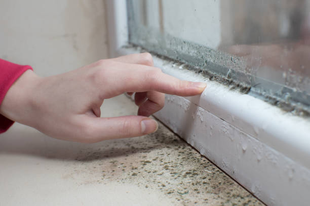 Best Air Quality Testing for Mold Spores  in Roseburg, OR