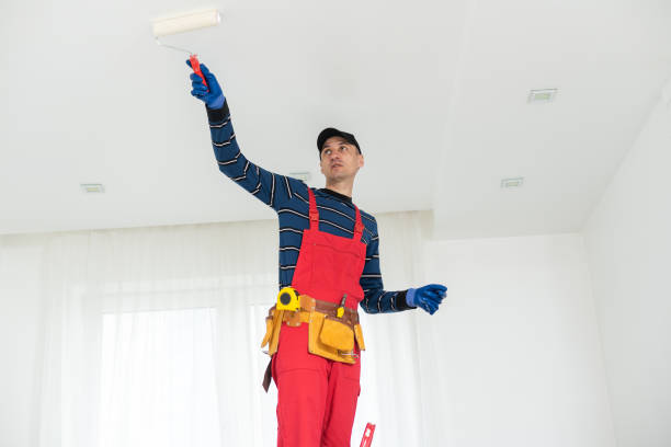 Best Real Estate Mold Inspection  in Roseburg, OR
