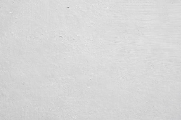 Best Asbestos and Lead Testing During Mold Inspection  in Roseburg, OR