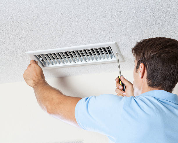 Best Crawl Space Mold Remediation  in Roseburg, OR